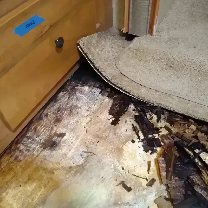 Wood Floor Water Damage in Teller County, CO